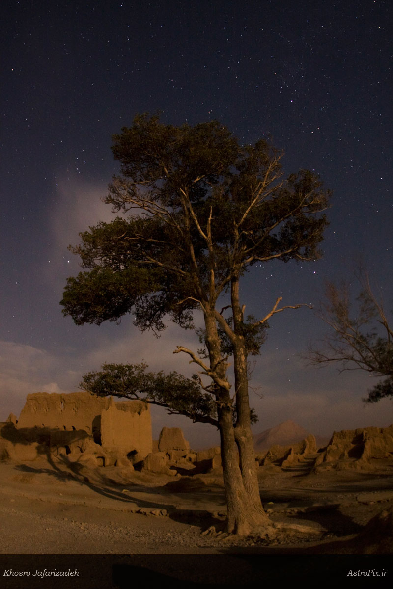 Moon Light in Soghad