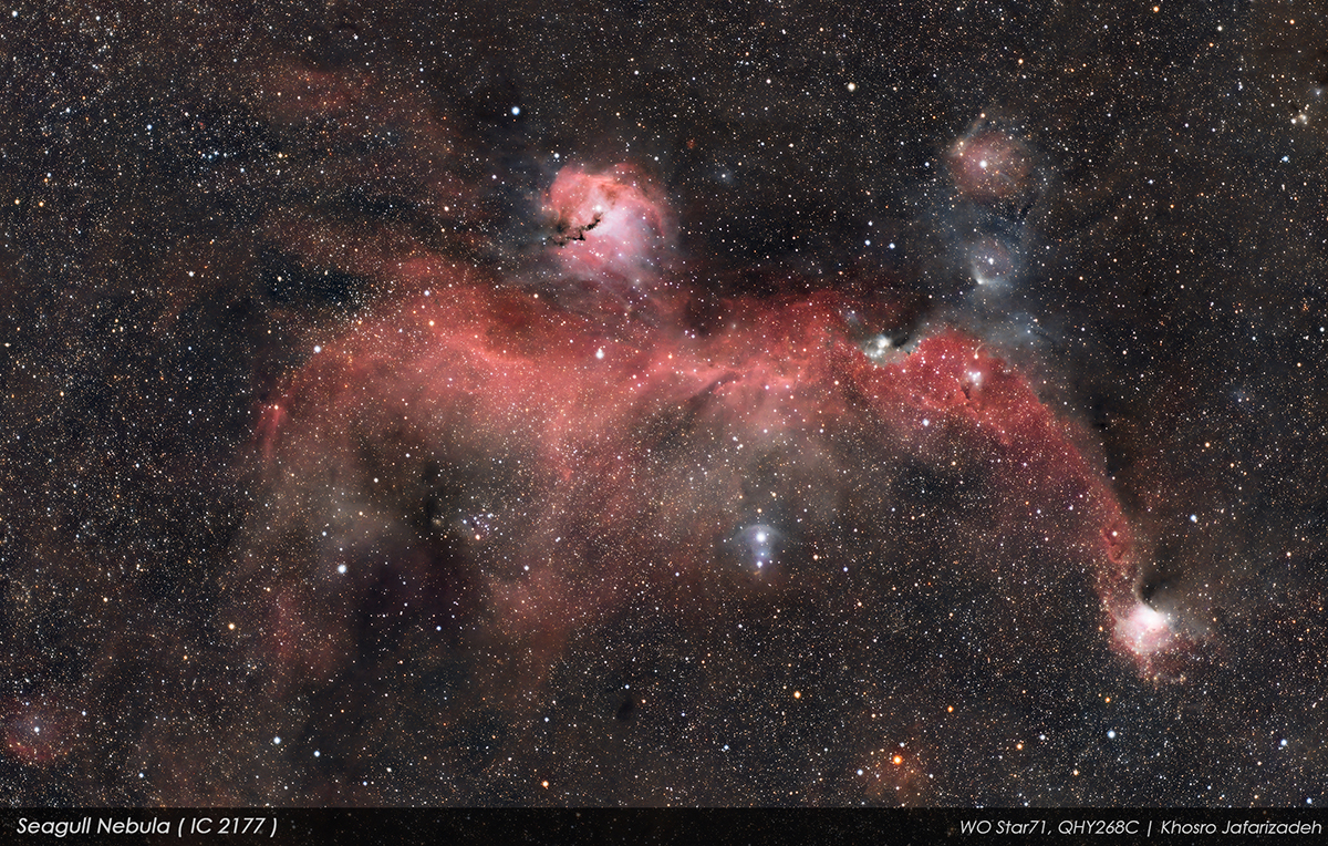 Seagull's Head IC2177