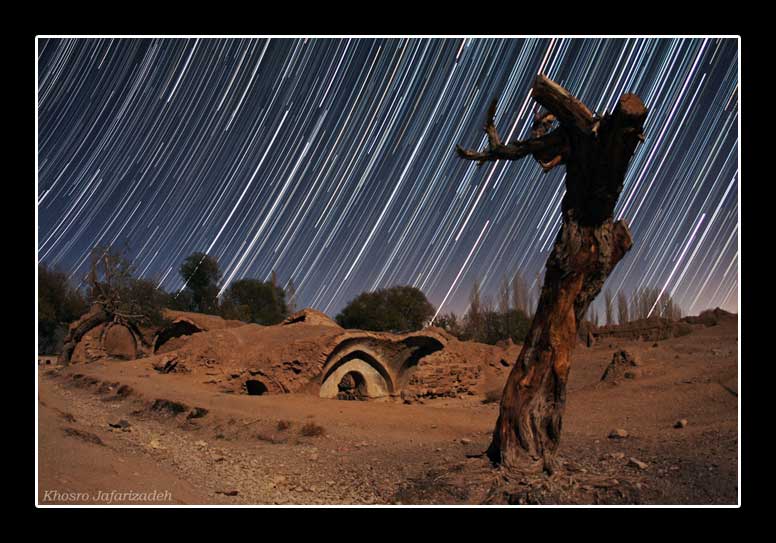 Dawn of life on dry tree ( khosro jafarizadeh )