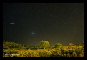 Green Nature beneath Jupiter`